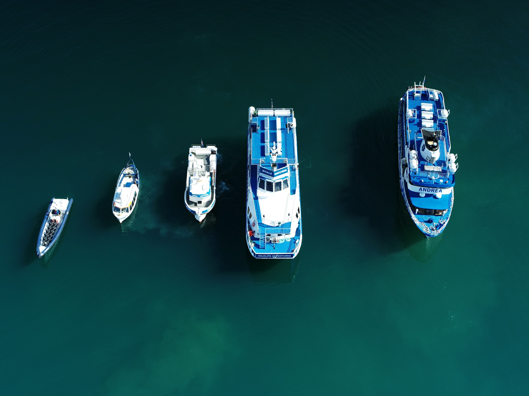 Four boats of different sizes floating on water